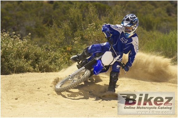 2011 Yamaha TT-R125LE photo